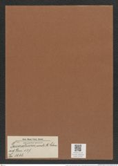 Triceratium rivale A. Schm. (de-Toni-Nr.: Genus 137, Species 3666) Zeichnungen Sammlung Grunow Mappe 03792 (Herbarium_W_Grunow_drawings_Folder_03792)